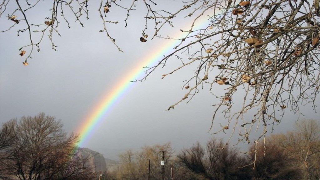 Soul Care and Remembering God’s&nbsp;Wonders