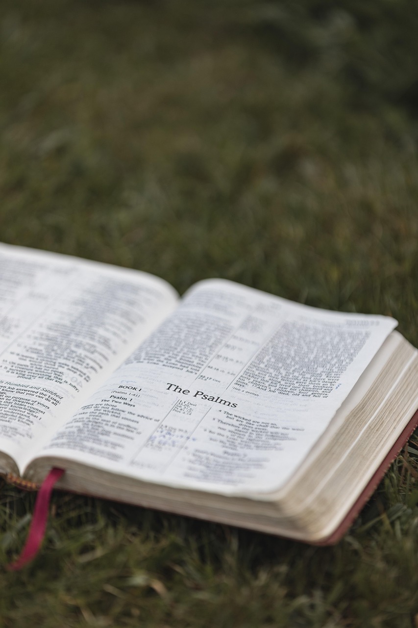 Psalms for Summer Bible&nbsp;Study